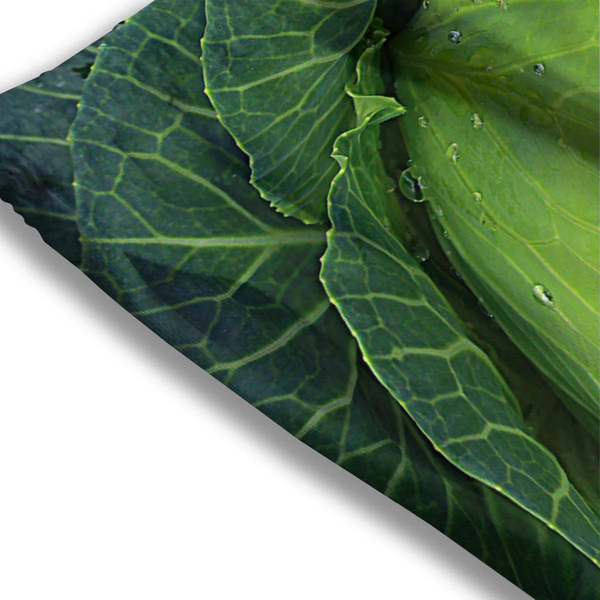 Cabbage Green Print Mesh Shorts - Image 3