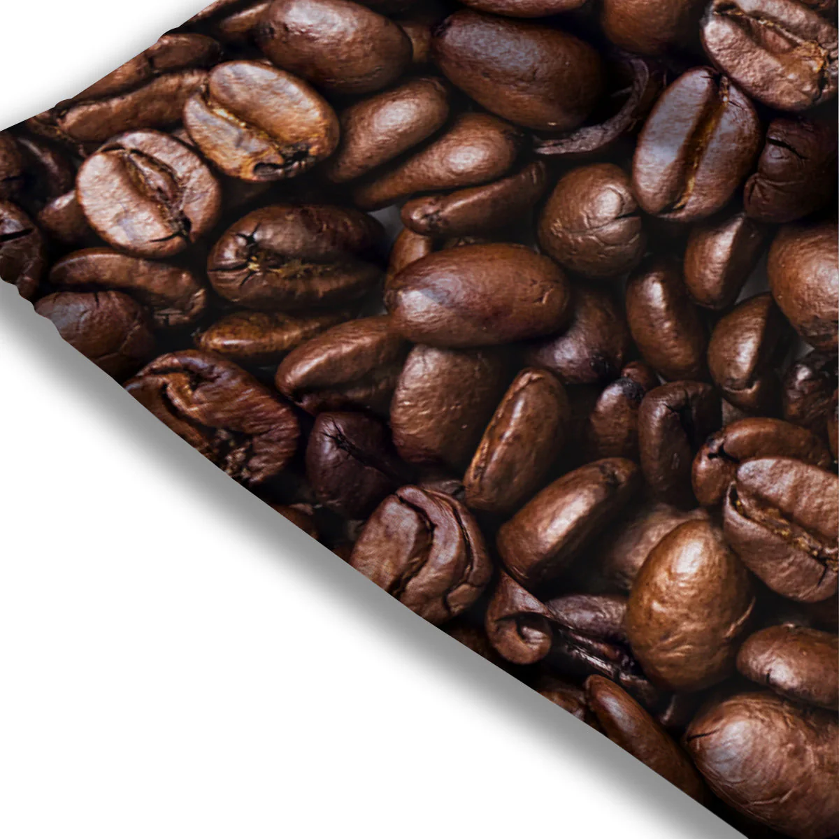 Coffee Beans Print Mesh Shorts - Image 3