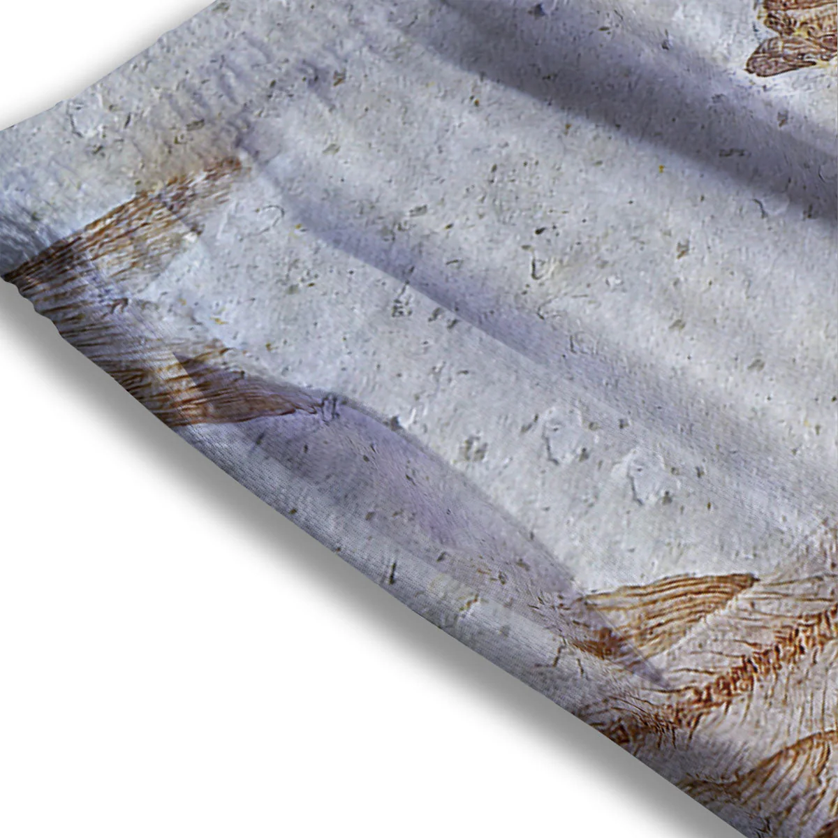 Fish Fossil Lycoptera Print Mesh Shorts - Image 3