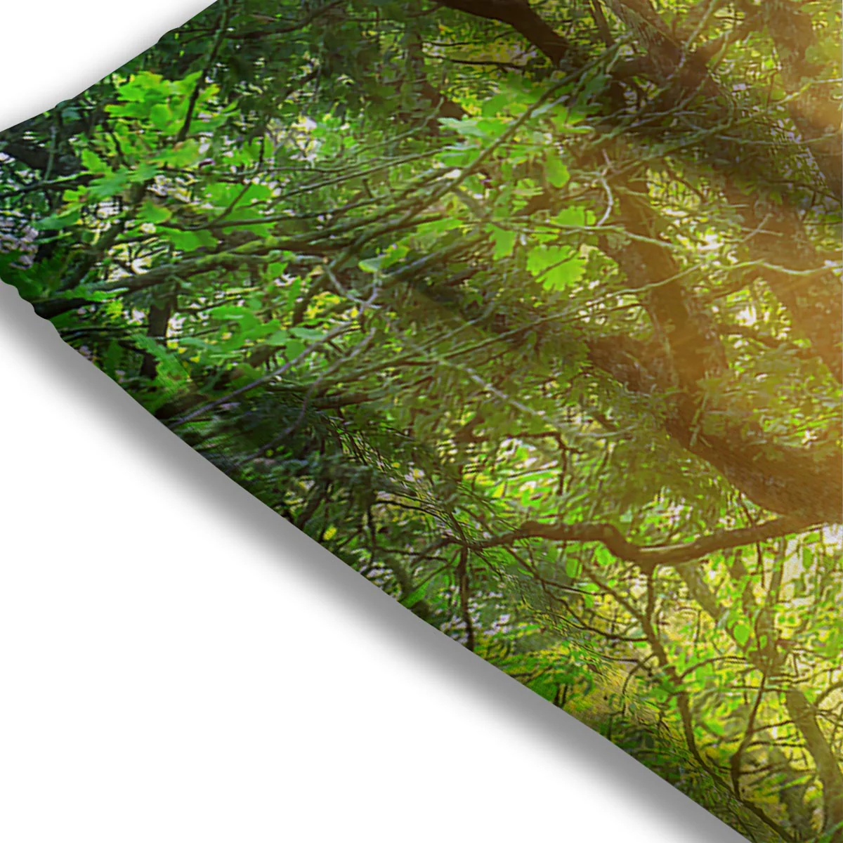 Forest Sunrise Print Mesh Shorts - Image 3