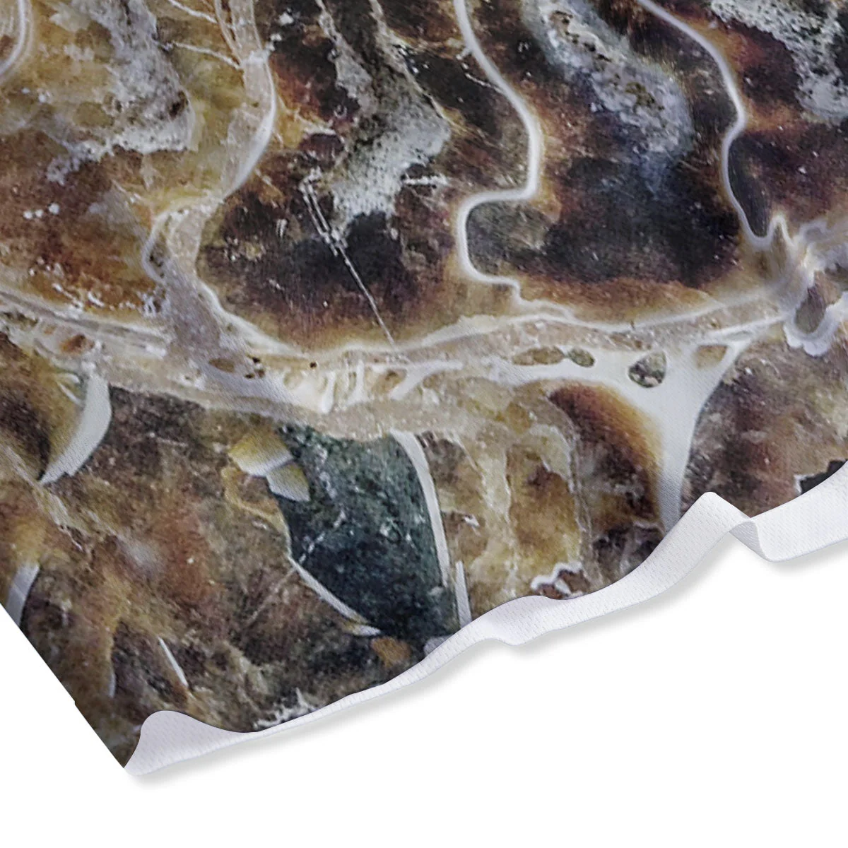 Fossil Ammonite Print Mesh Shorts - Image 4