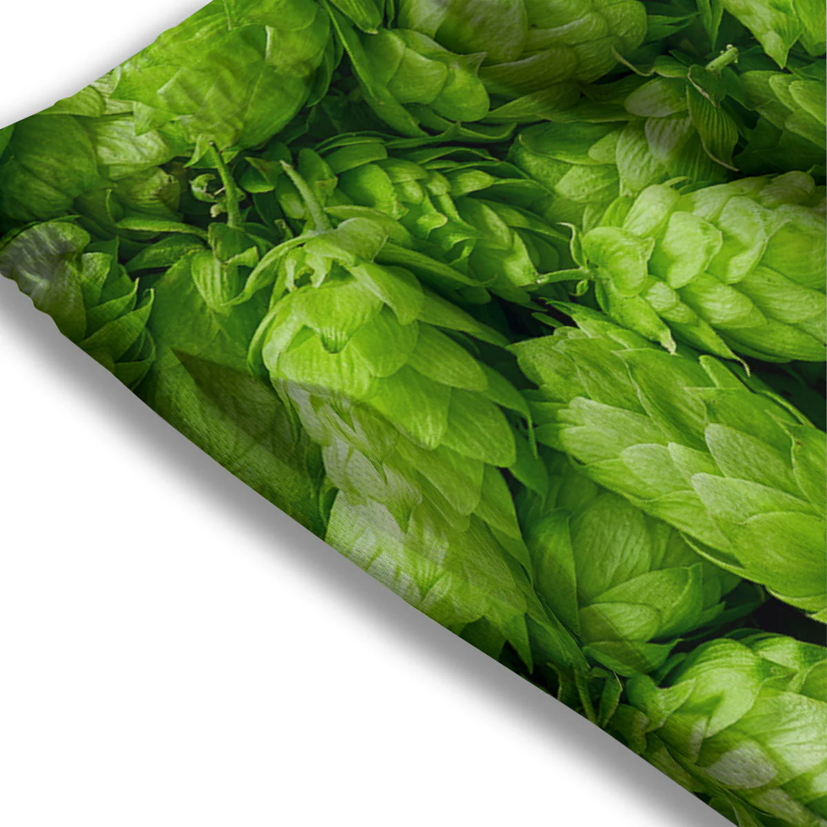 Hop Cone Fresh Print Mesh Shorts - Image 3