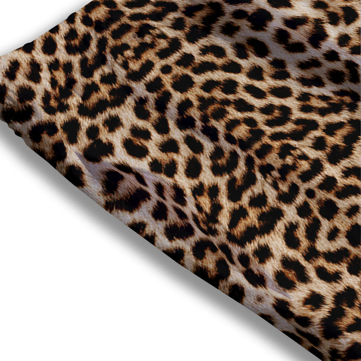 Leopard Pattern Mesh Shorts - Image 3