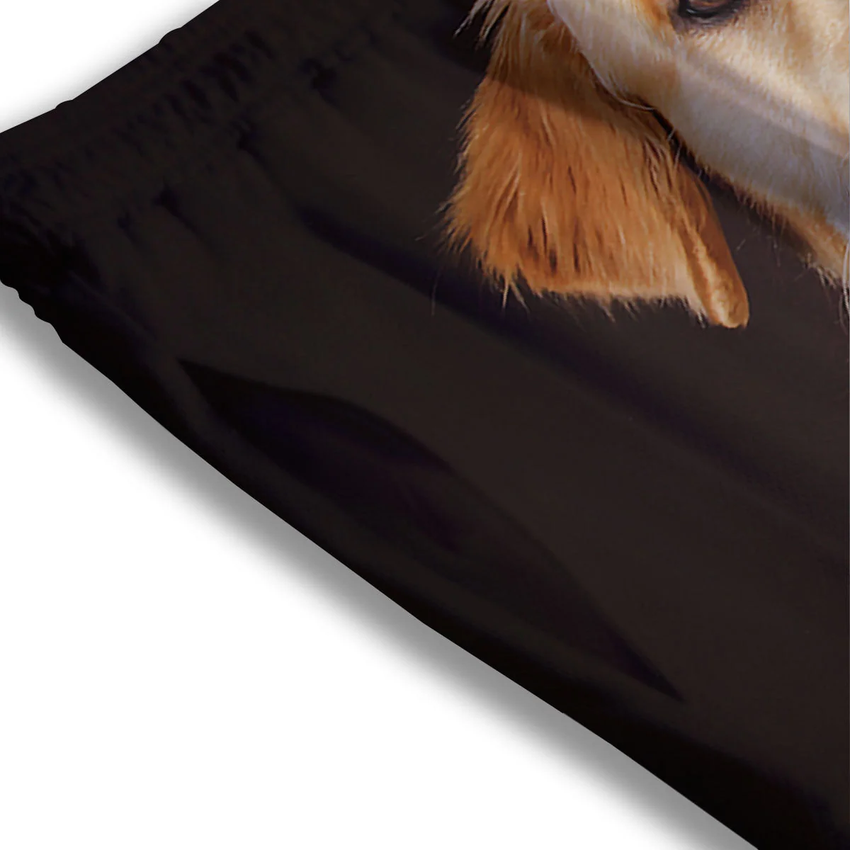 Portrait Golden Retriever Print Mesh Shorts - Image 3