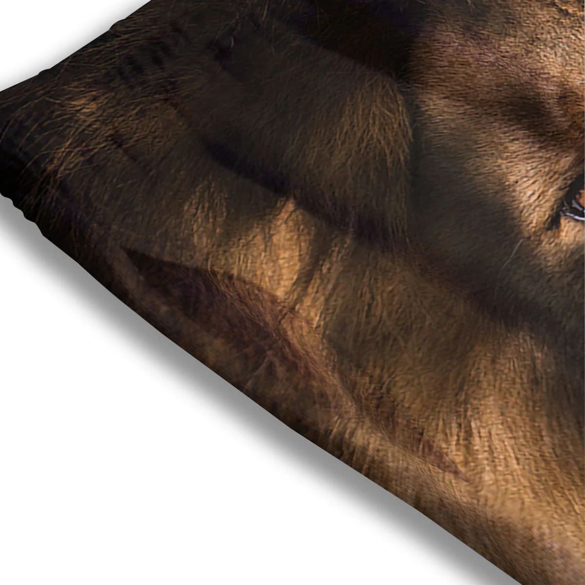 Portrait Leo Print Mesh Shorts - Image 3