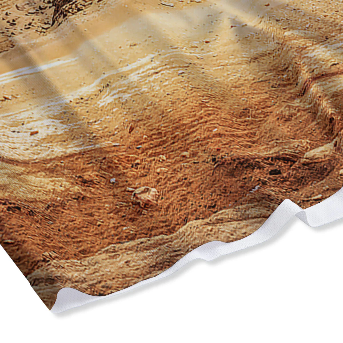 Pyramid Giza Print Mesh Shorts - Image 4