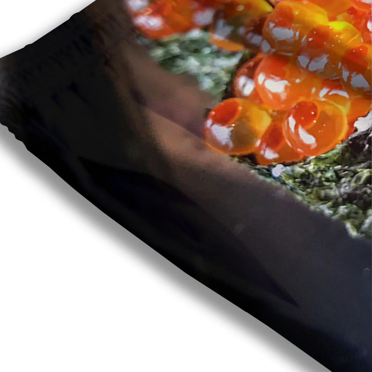 Salmon Roe Sushi Print Mesh Shorts - Image 3