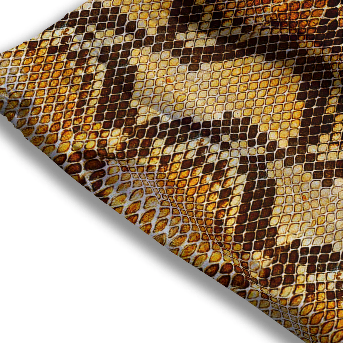 Snakeskin Leathers Print Mesh Shorts - Image 3
