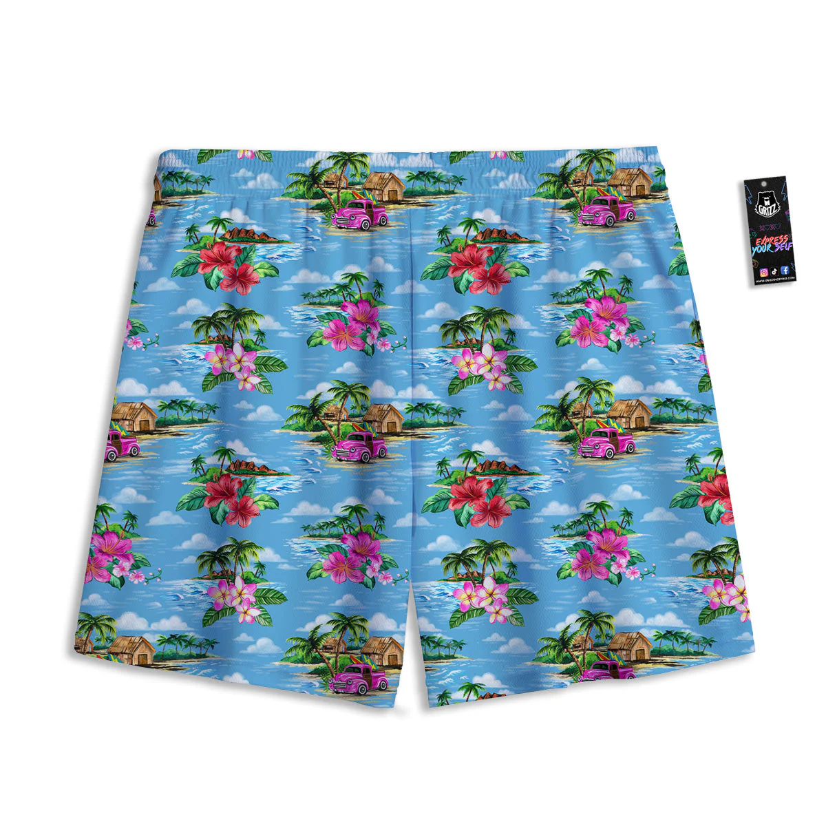 Vintage Hawaiian And Blue Sky Print Pattern Mesh Shorts - Image 2